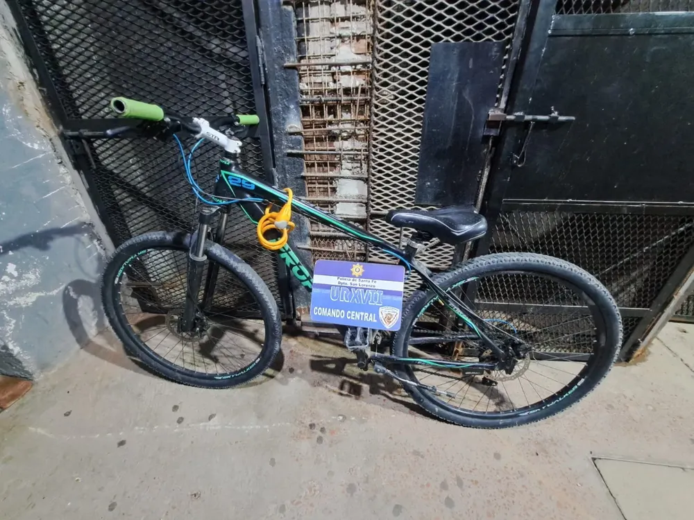 WhatsApp Image 2026-02-11 at 10.19.36