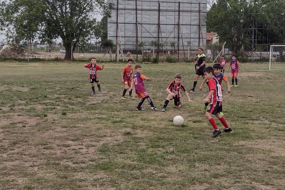 Liga arfi