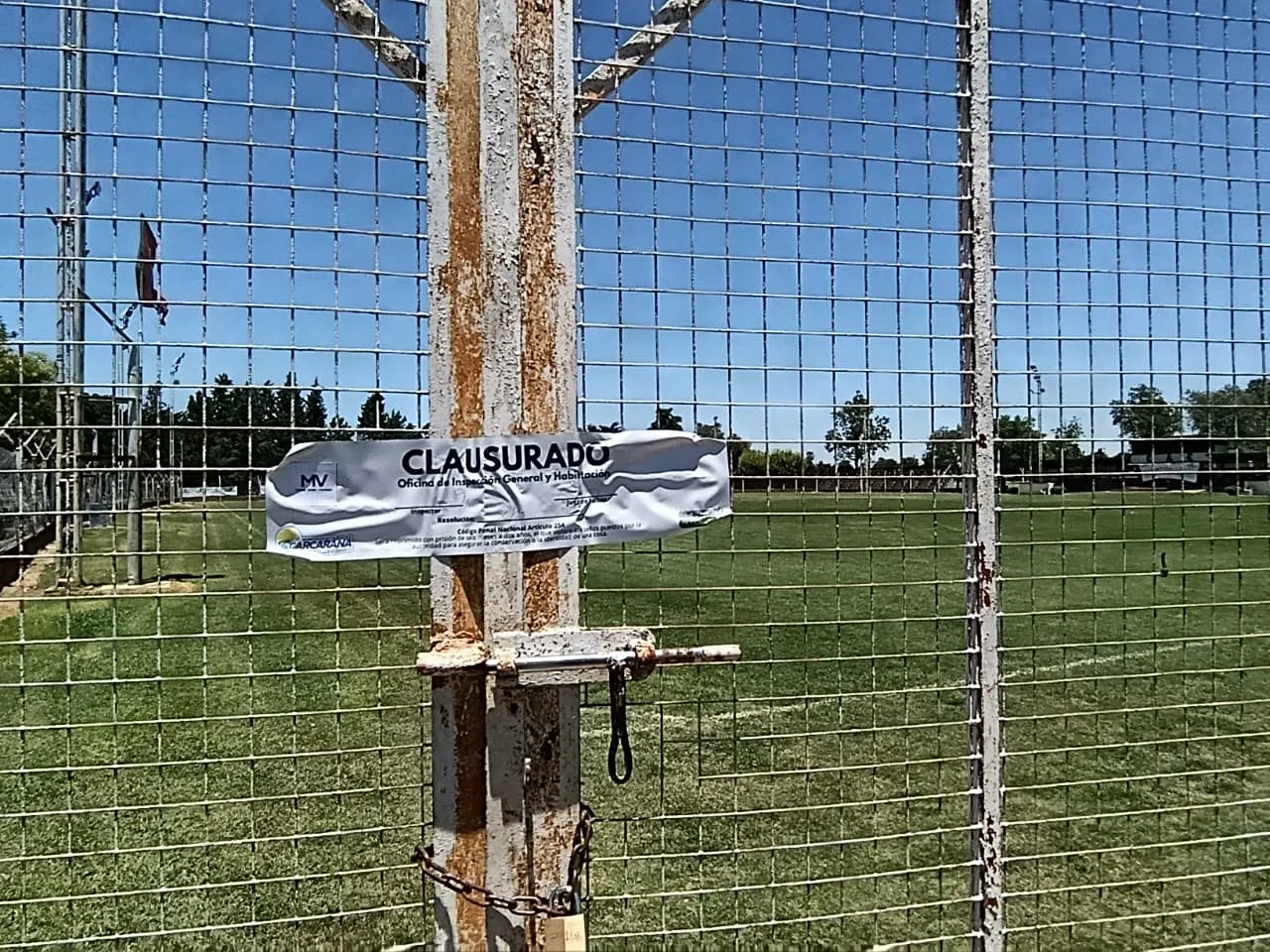 WhatsApp Image 2025-12-19 at 14.12.49