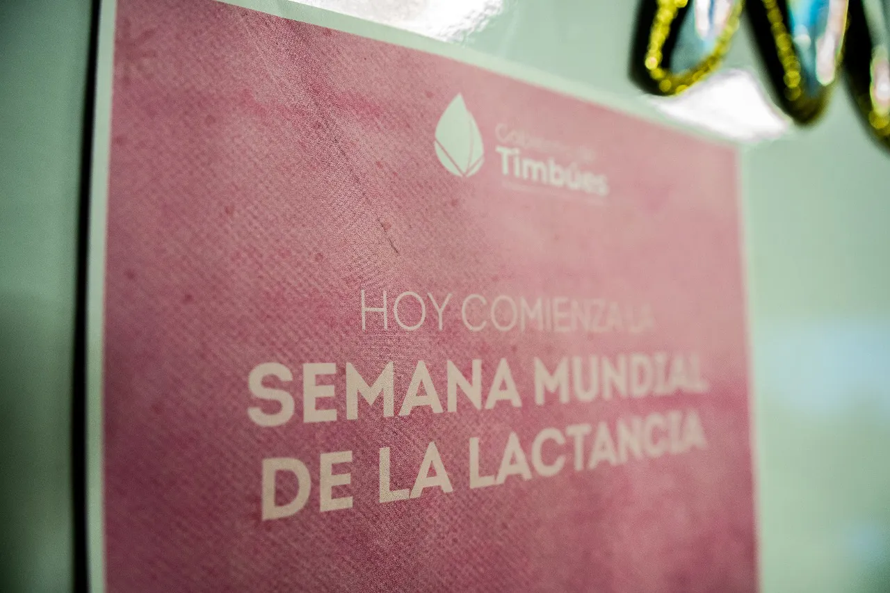 WhatsApp Image 2025-08-08 at 20.33.51