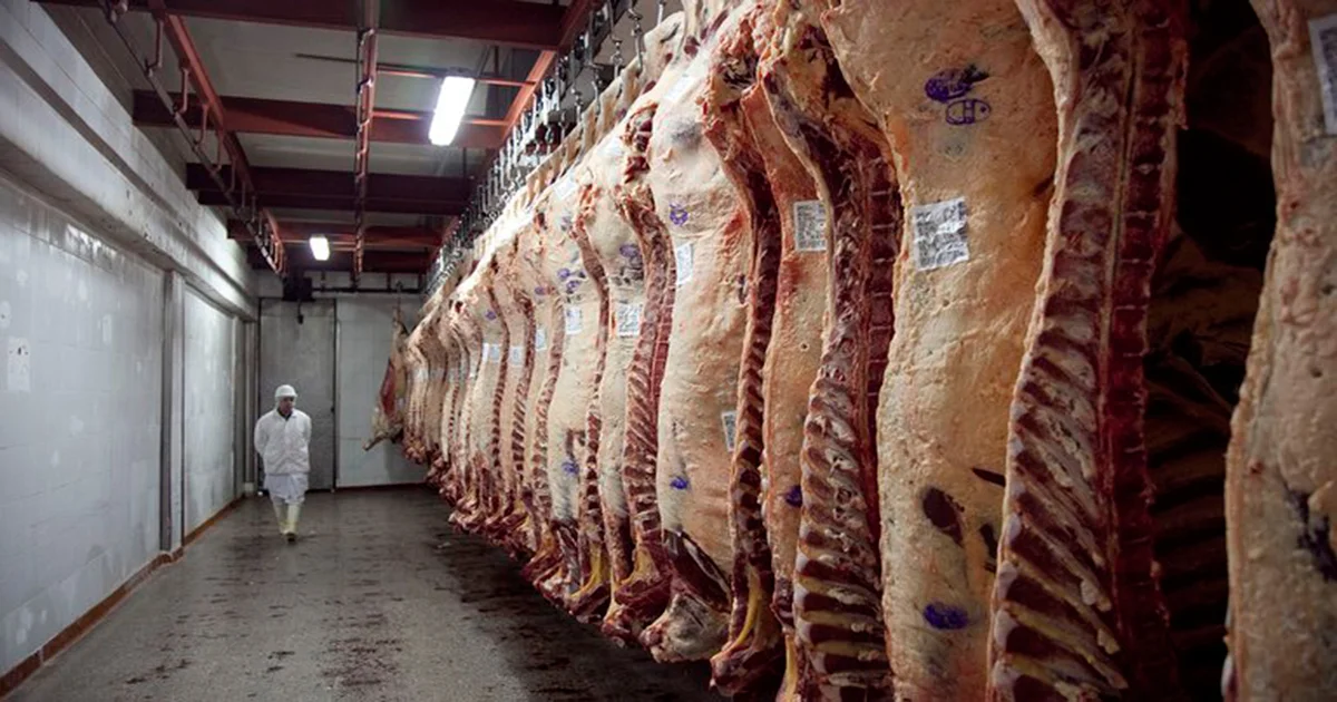 consumo de carne