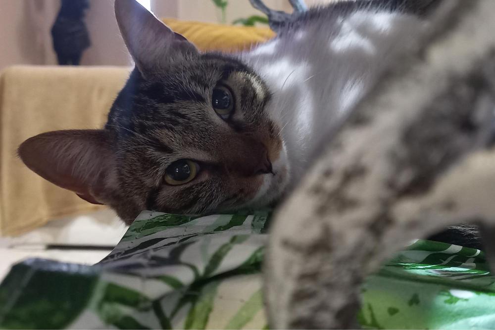 InShot_20230808_064448392