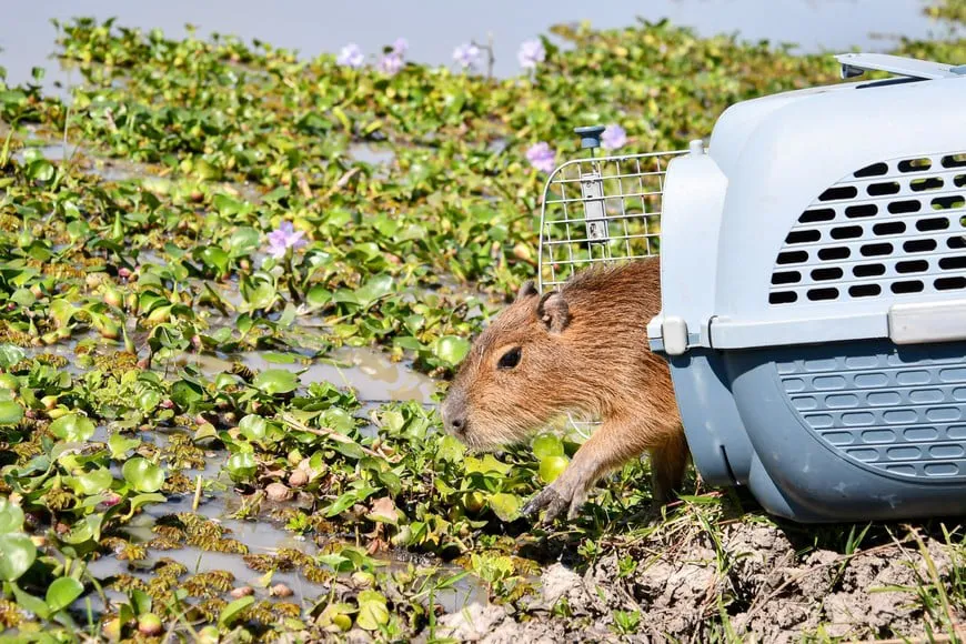 WhatsApp Image 2025-04-19 at 20.50.22