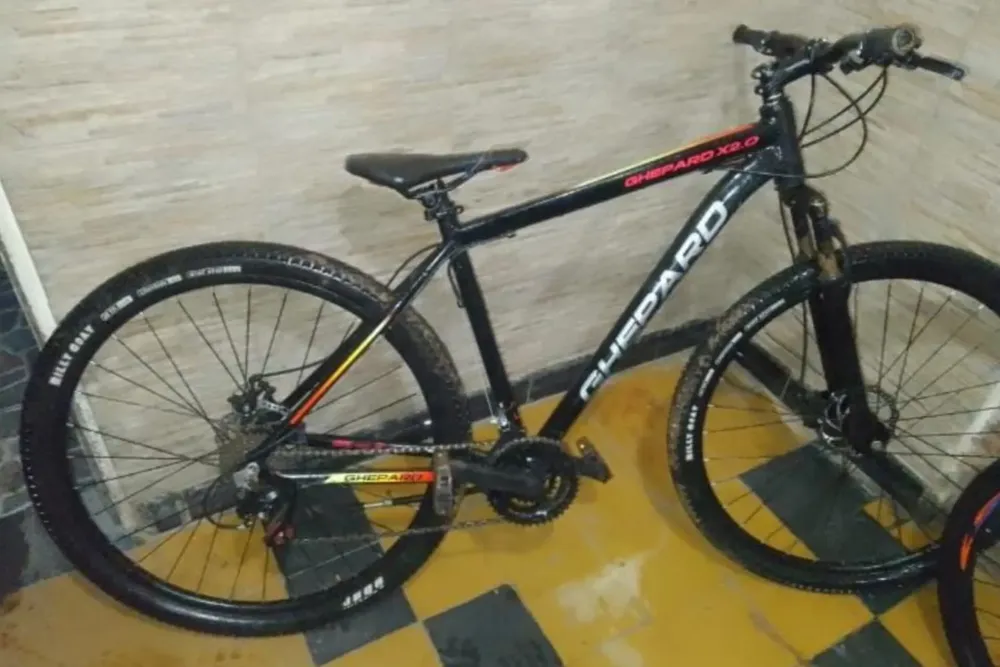 WhatsApp Image 2024-10-14 at 11.15.45