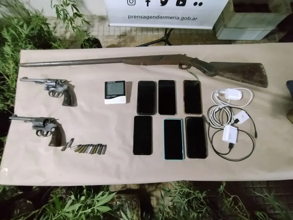 Encuentran un invernadero en Rosario 3 (4)