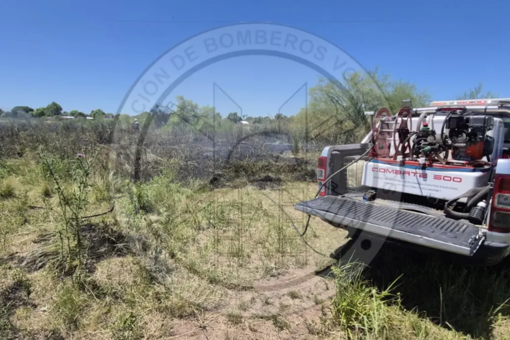 InShot_20260104_150402162