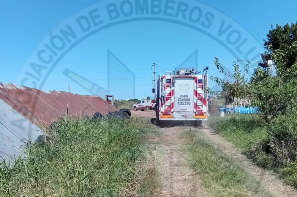 WhatsApp Image 2026-01-21 at 18.53.47