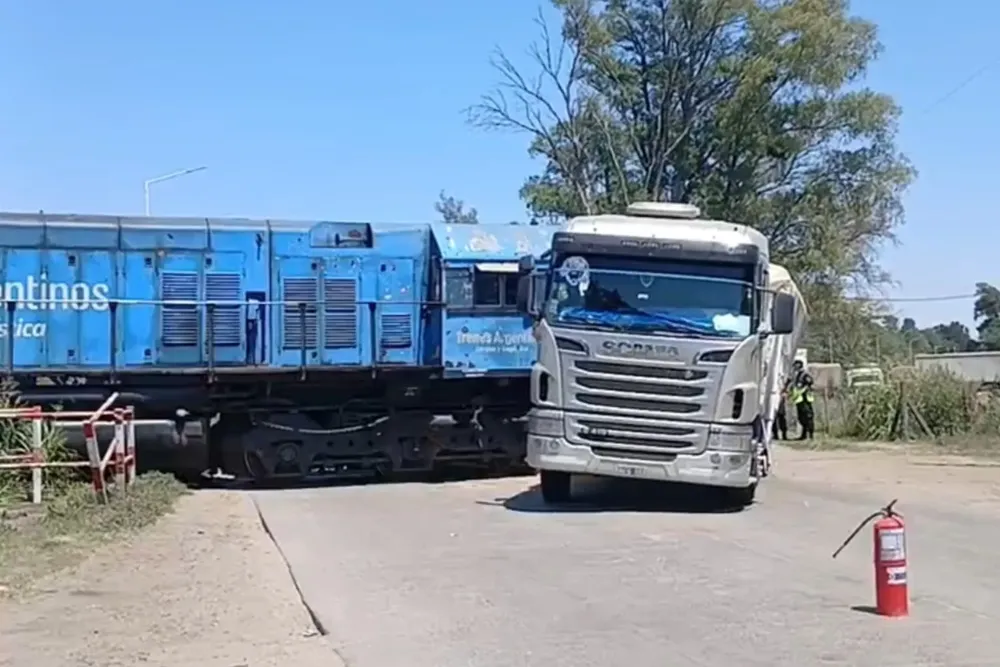 WhatsApp Image 2024-11-16 at 20.31.23