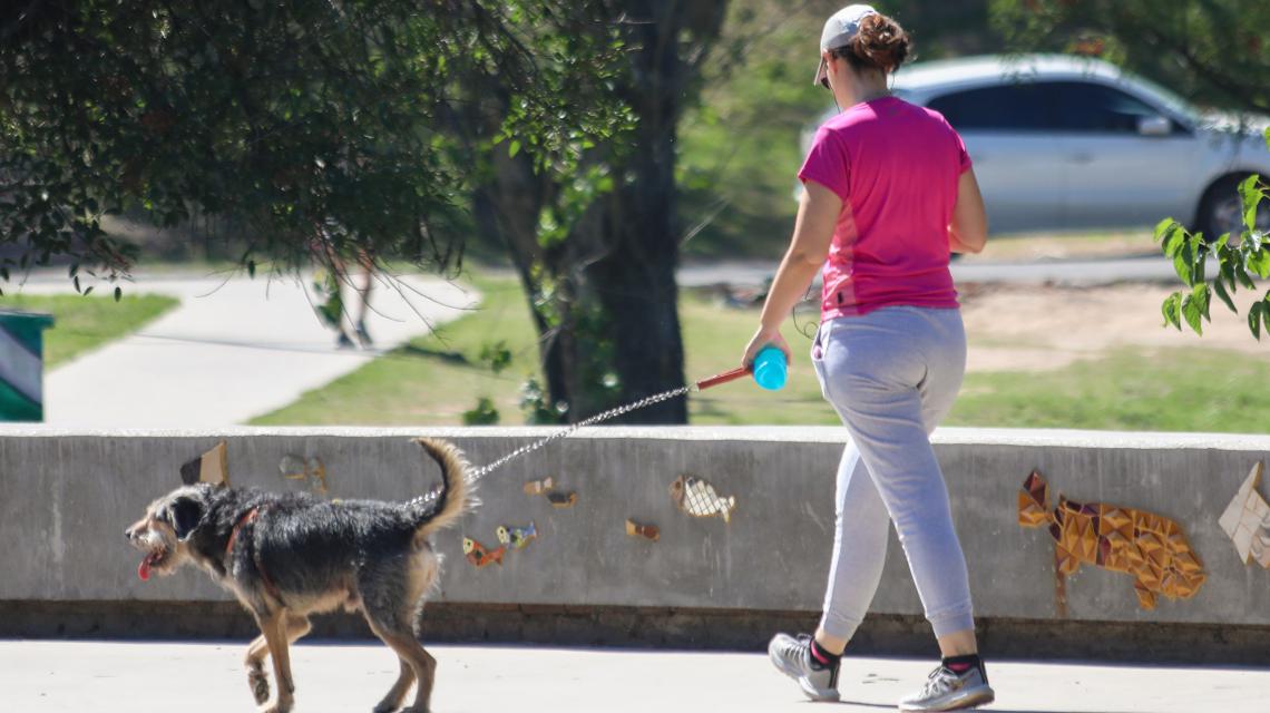 golpes de calor