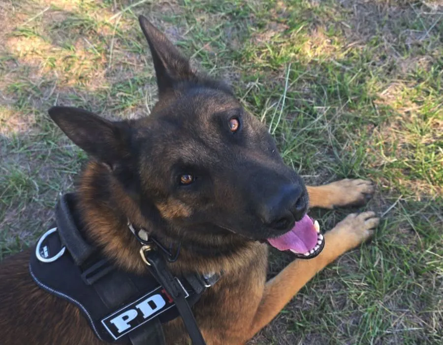 WhatsApp Image 2025-11-24 at 12.46.22 (1)