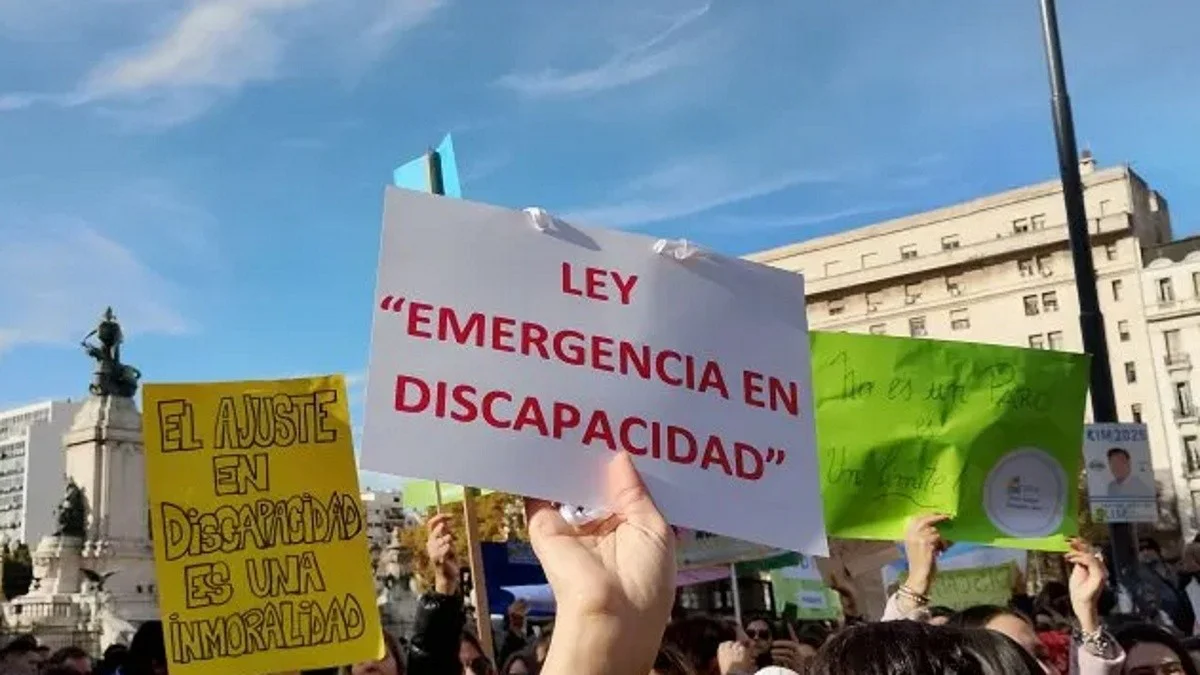 discapacidad .