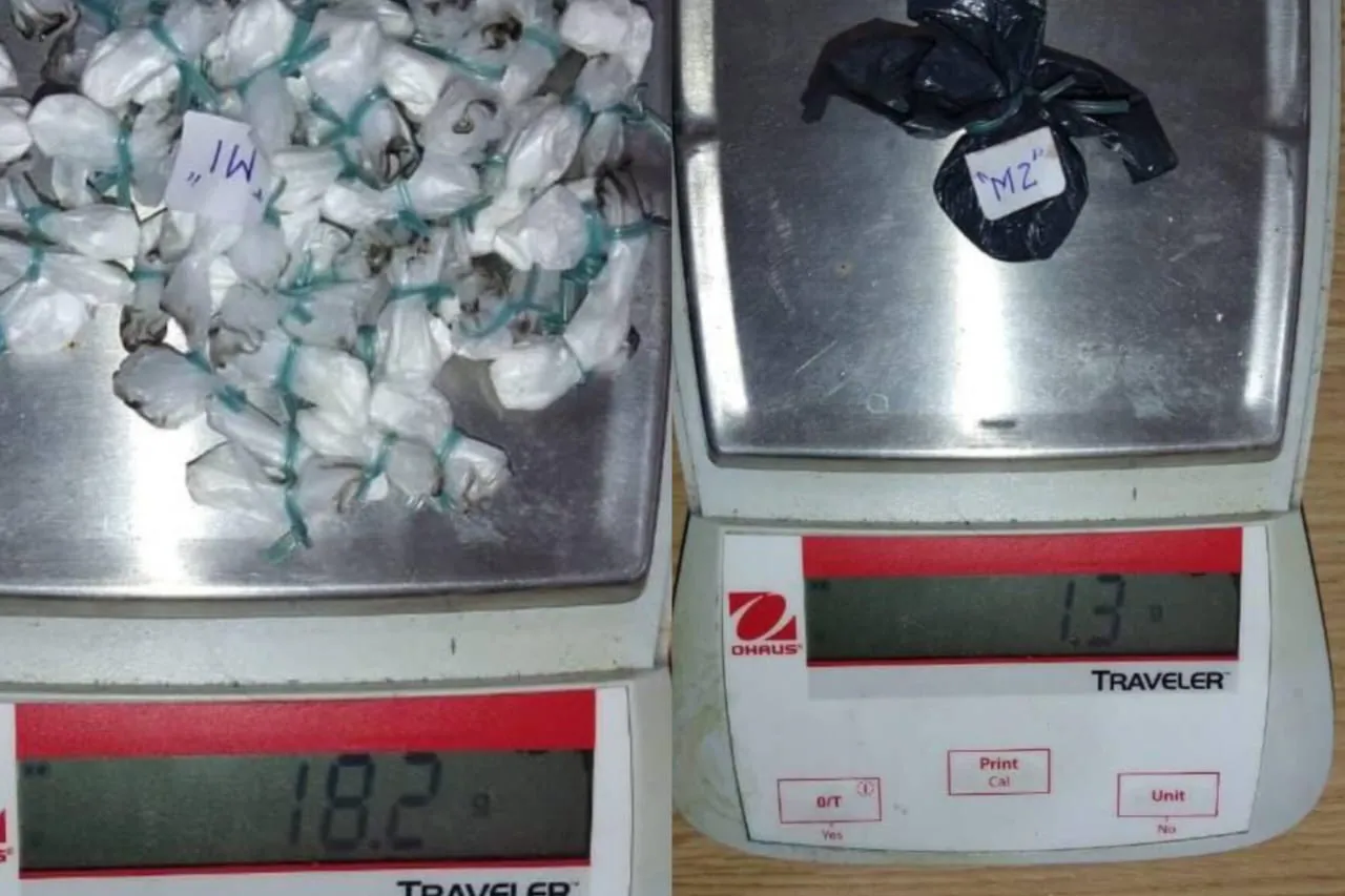 WhatsApp Image 2025-09-24 at 13.51.26