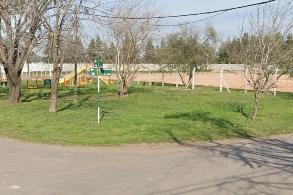 InShot_20241122_201957448