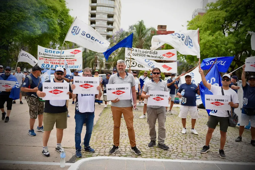 WhatsApp Image 2024-10-31 at 18.57.31