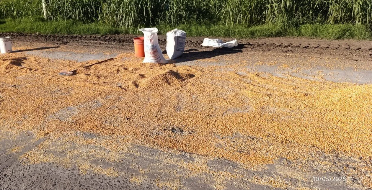 cereal
