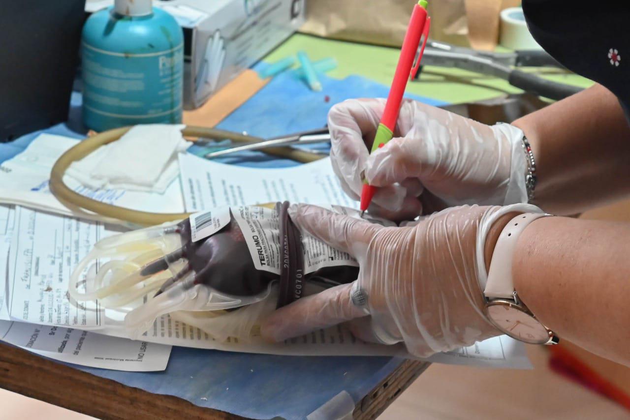 WhatsApp Image 2023-03-29 at 09.13.50