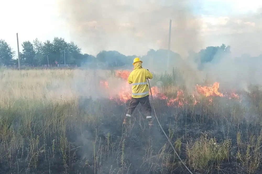 WhatsApp Image 2026-01-27 at 19.12.16