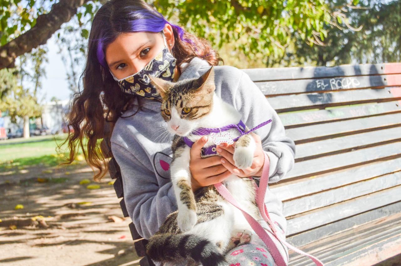 23000 esterilizaciones vgg (1) (1)