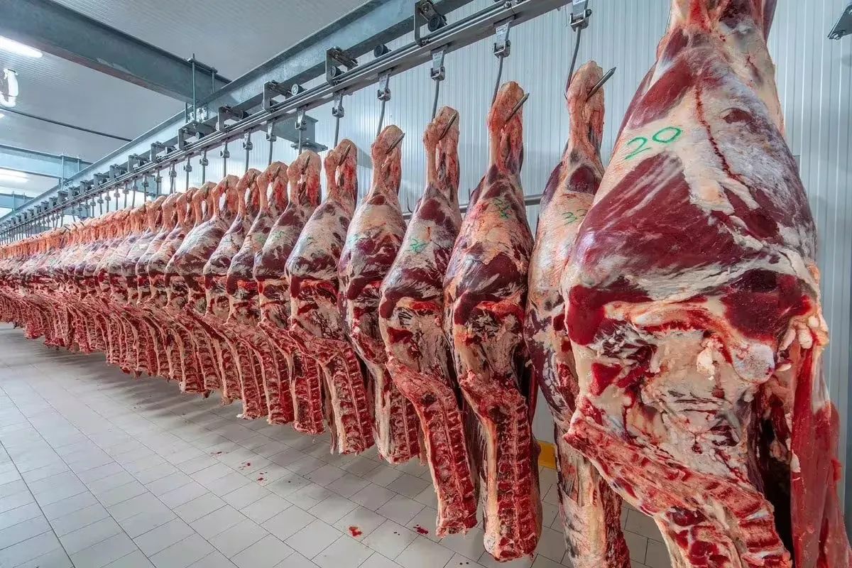 carnes