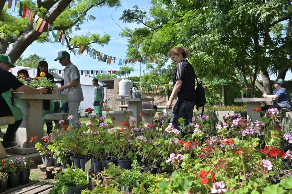 vivero1-