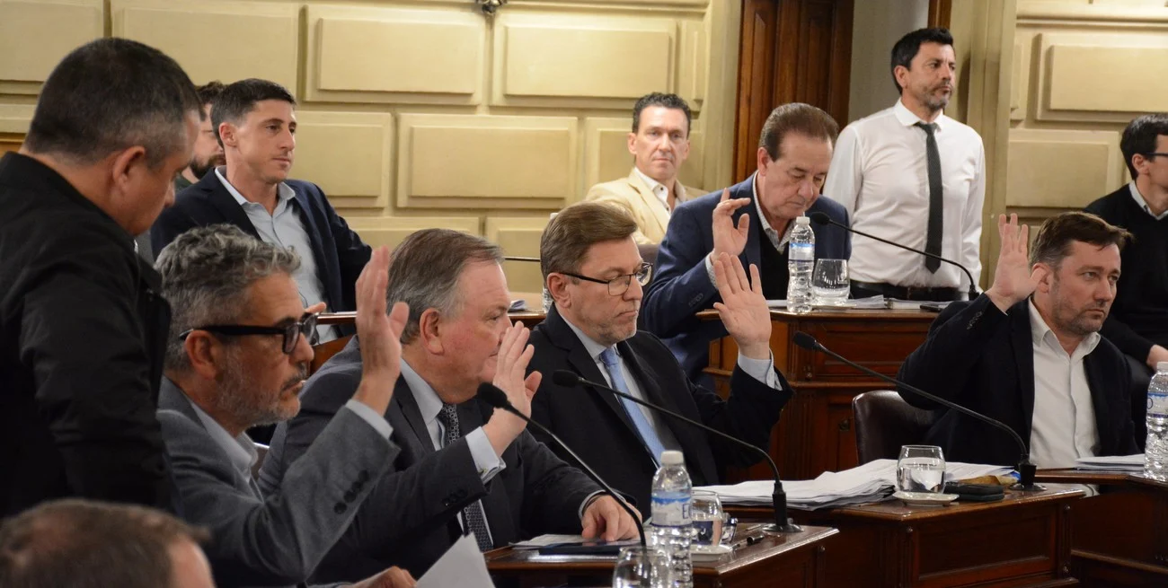 Camara de senadores -