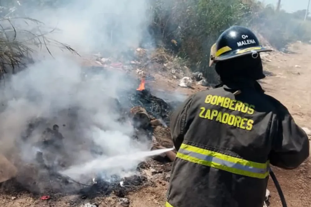 WhatsApp Image 2026-01-23 at 13.08.44