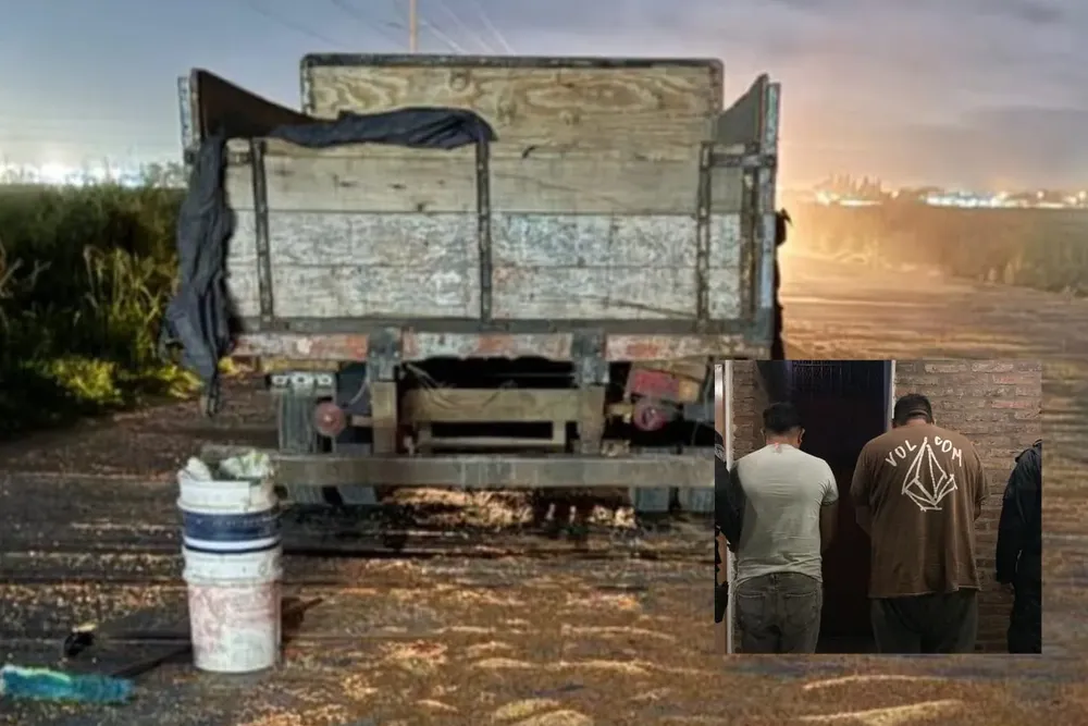 WhatsApp Image 2025-03-11 at 11.50.04