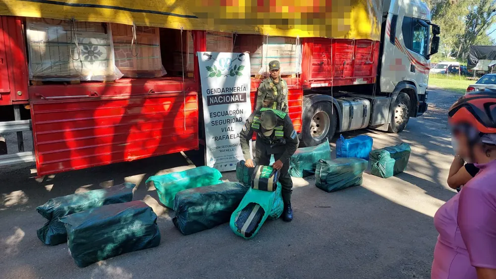 Conducía un camión cargado con 290 kilos de hojas de coca en estado natural (4)