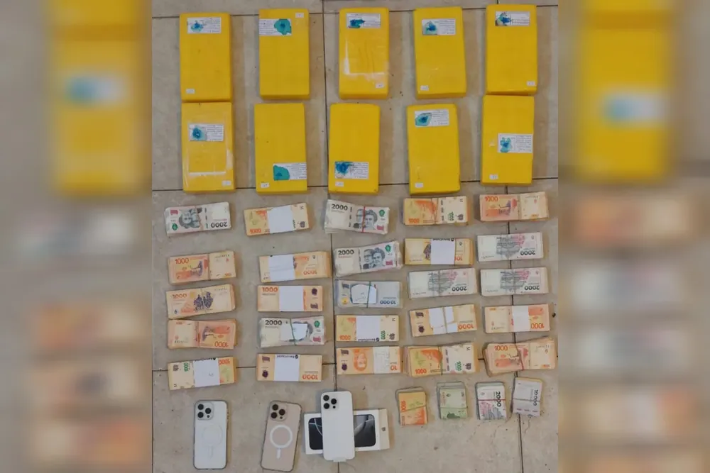 InShot_20241129_121540524