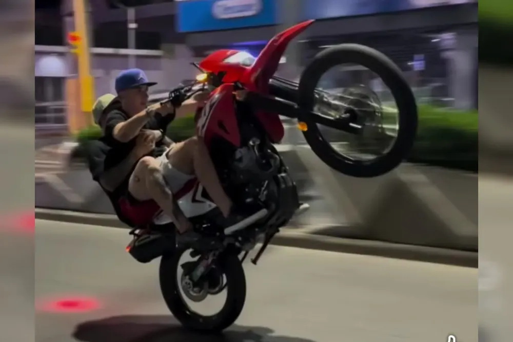 WhatsApp Image 2026-01-17 at 17.41.42