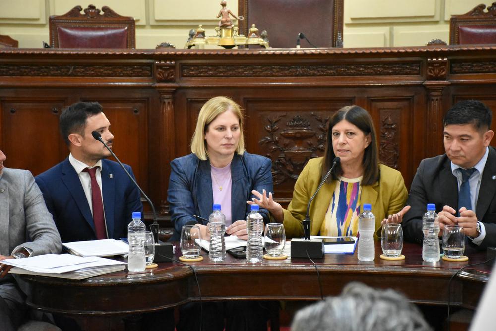 Clara García-Scaglia camara baja