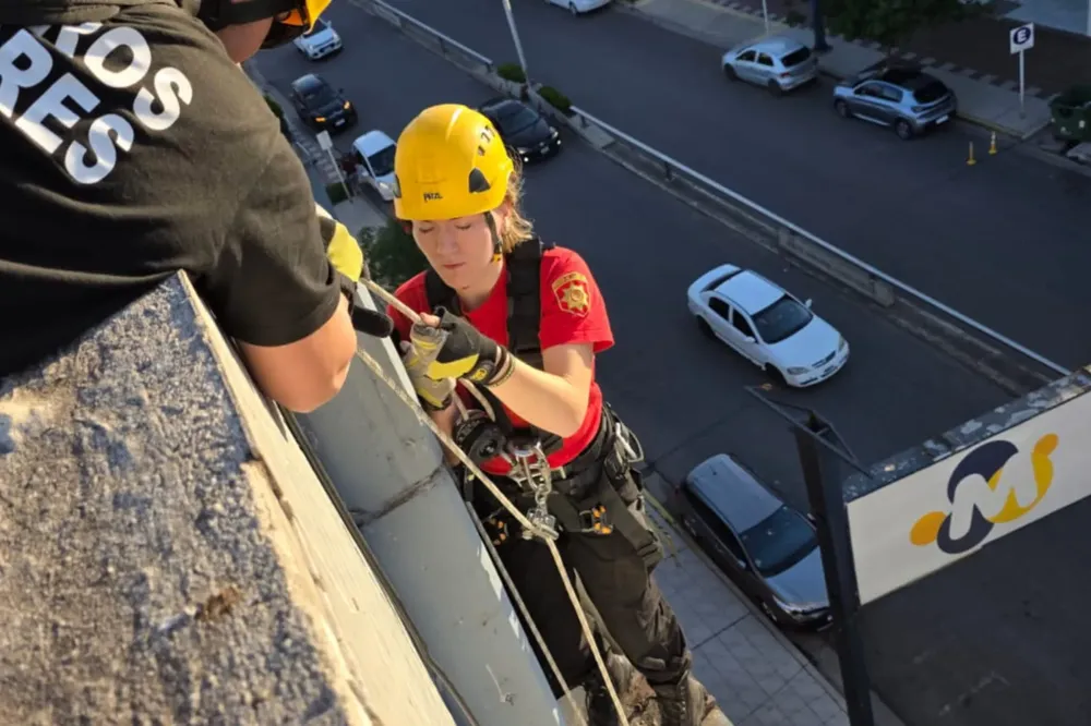 WhatsApp Image 2025-11-17 at 06.15.25