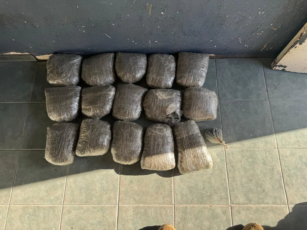 WhatsApp Image 2025-03-13 at 12.18.34