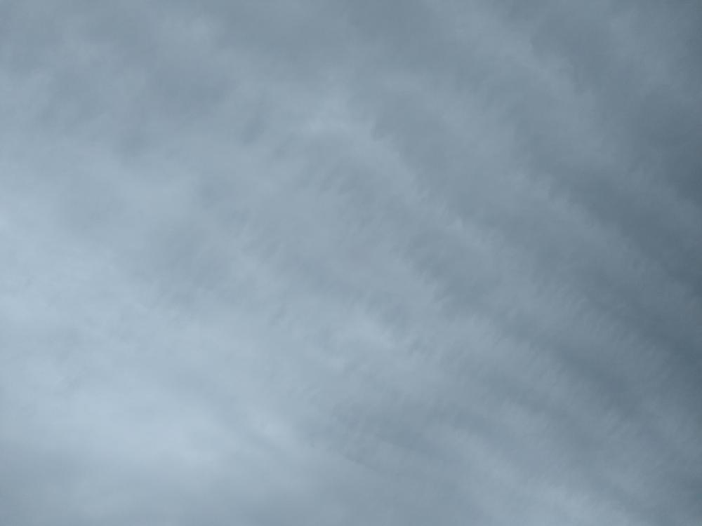 IMG_20211210_074622868