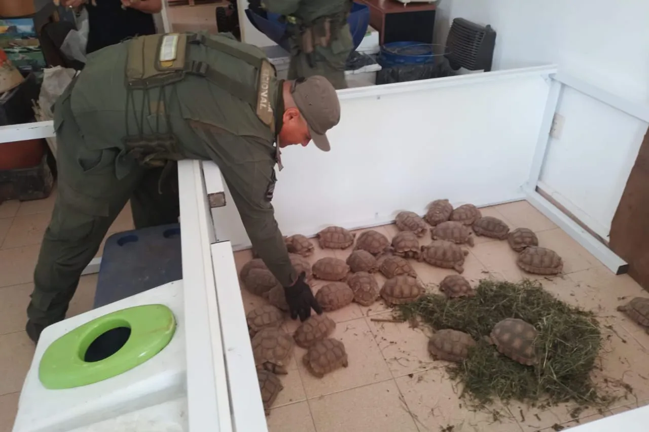 WhatsApp Image 2025-10-17 at 20.59.23