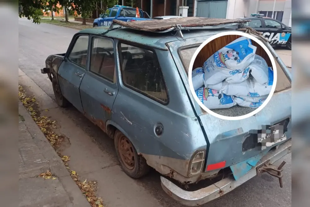 WhatsApp Image 2025-11-12 at 11.49.14