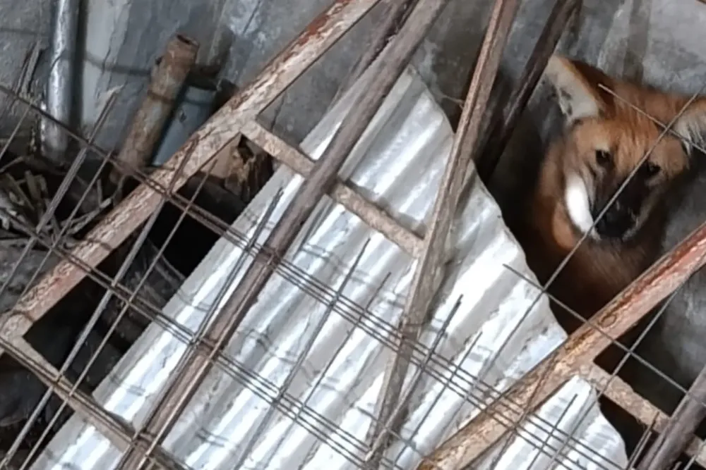 WhatsApp Image 2025-07-10 at 15.42.49