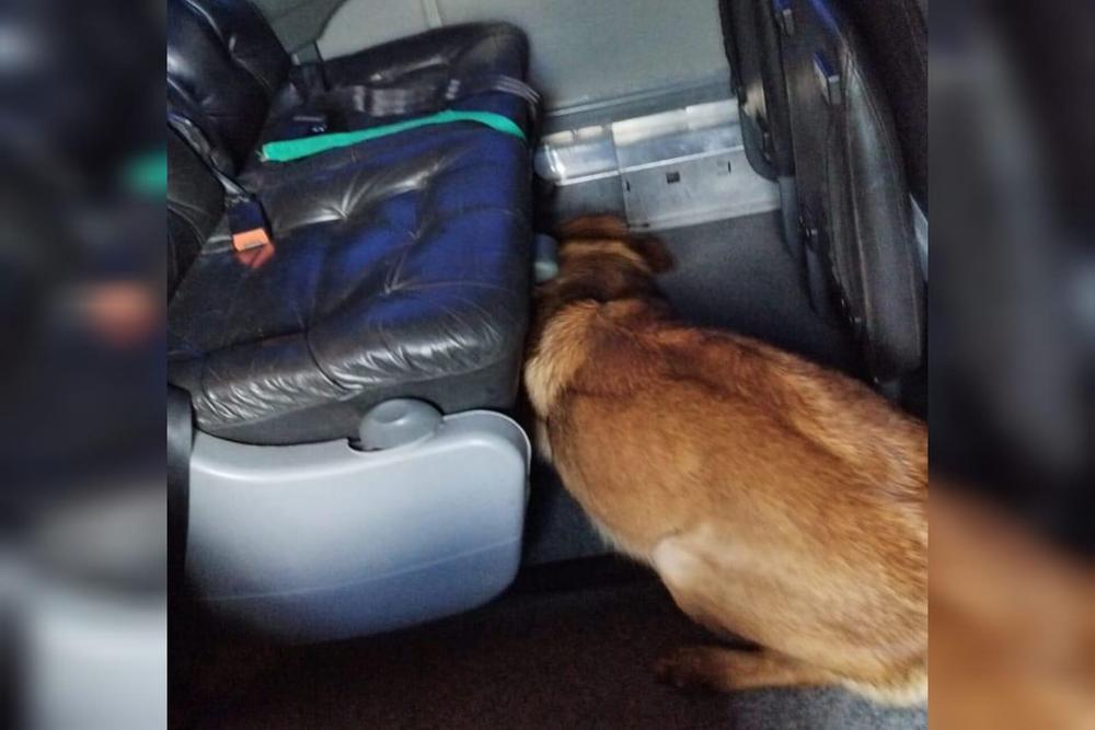 WhatsApp Image 2024-01-21 at 18.27.46 (1)