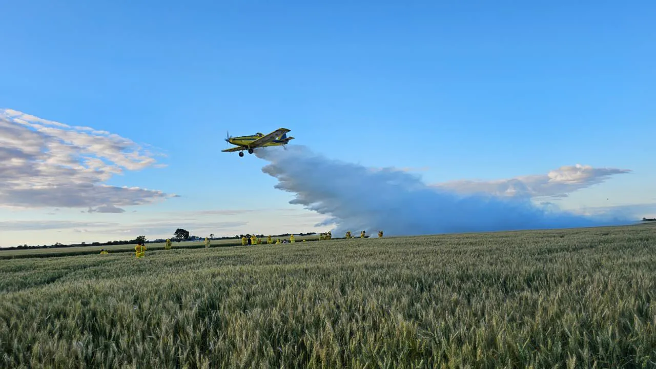 WhatsApp Image 2026-01-17 at 09.04.25