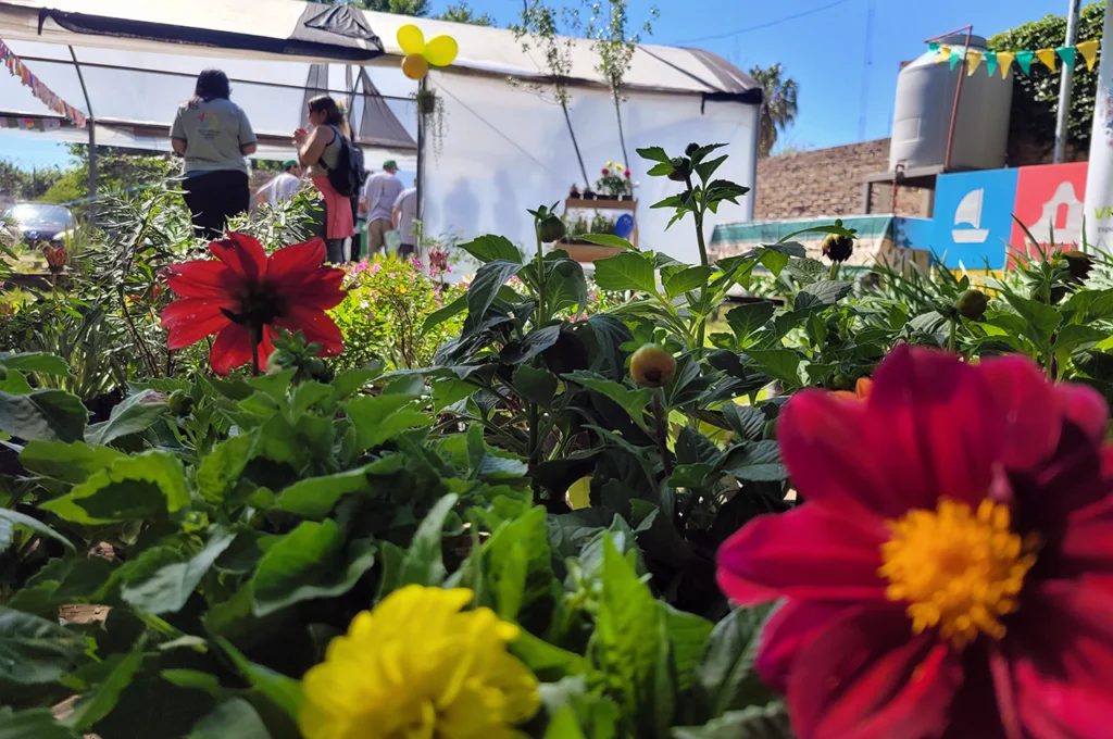 vivero-
