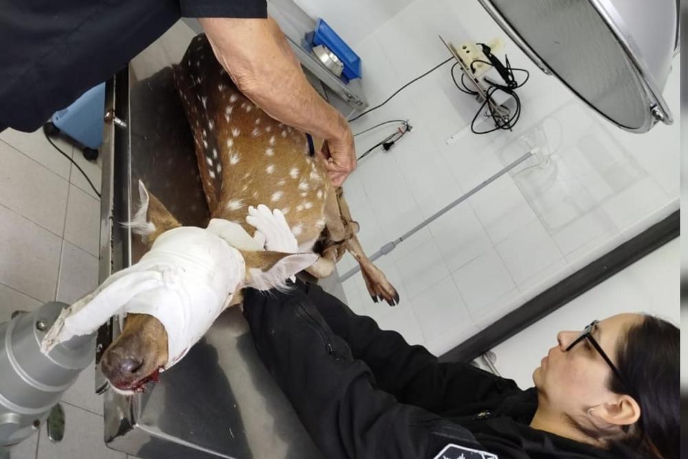 InShot_20240813_170505204