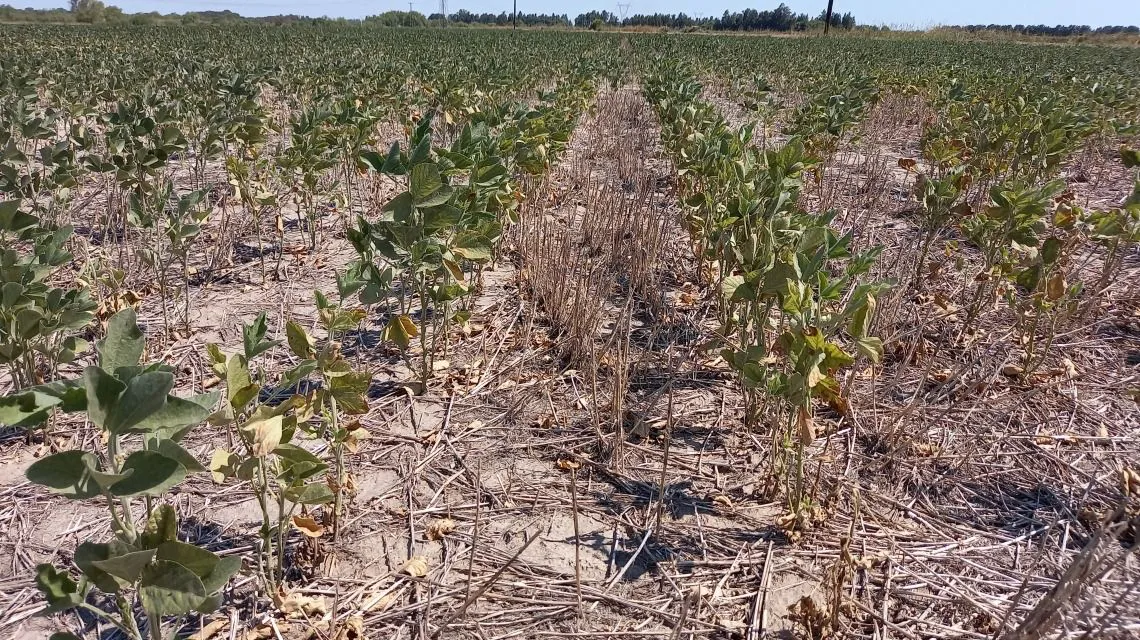 WhatsApp Image 2025-04-23 at 12.38.45