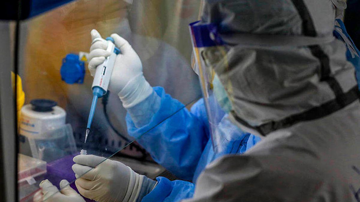 coronavirus-laboratoriojpg