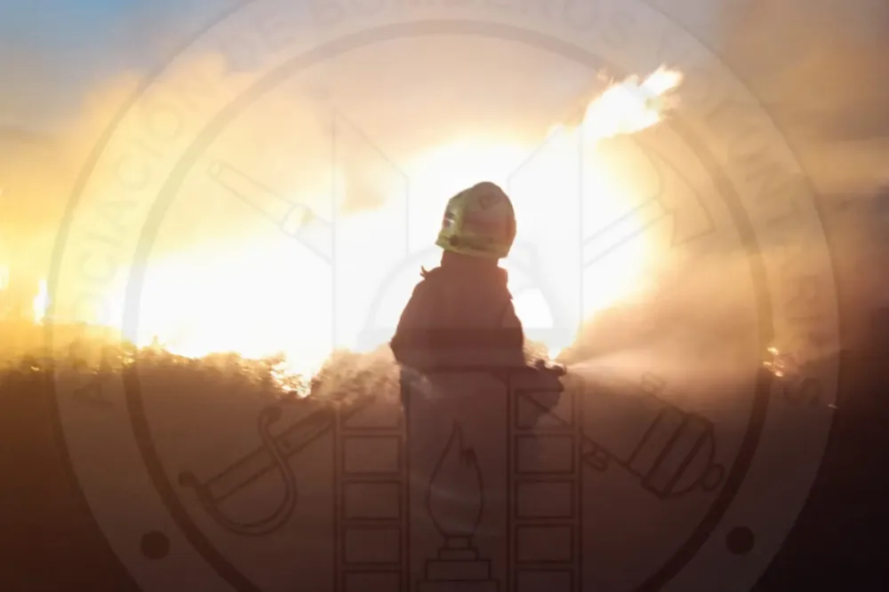 Incendio en inmediaciones de Falucho y Vega