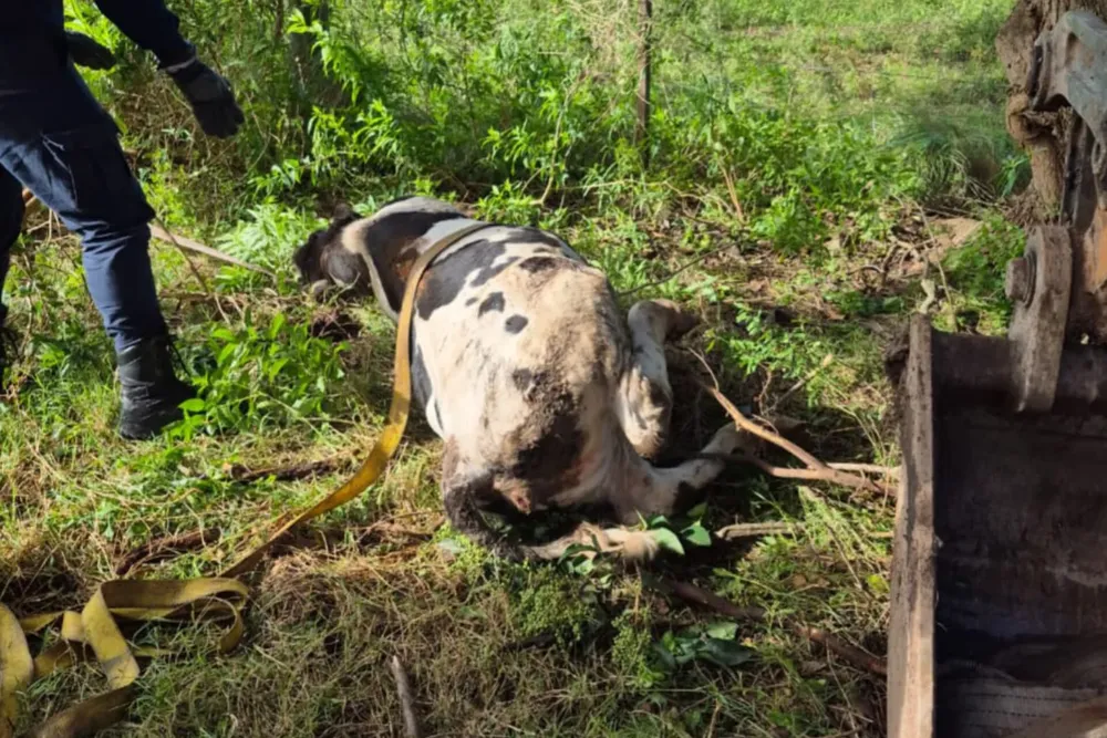 WhatsApp Image 2026-04-08 at 12.35.30