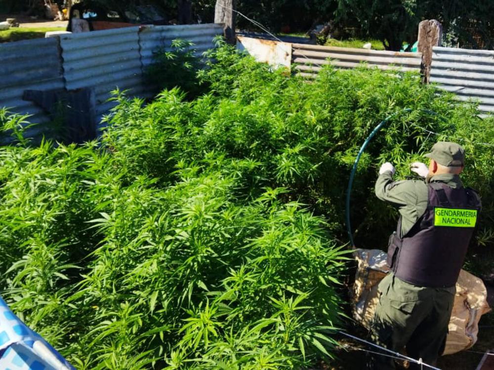 InShot_20220211_093048013