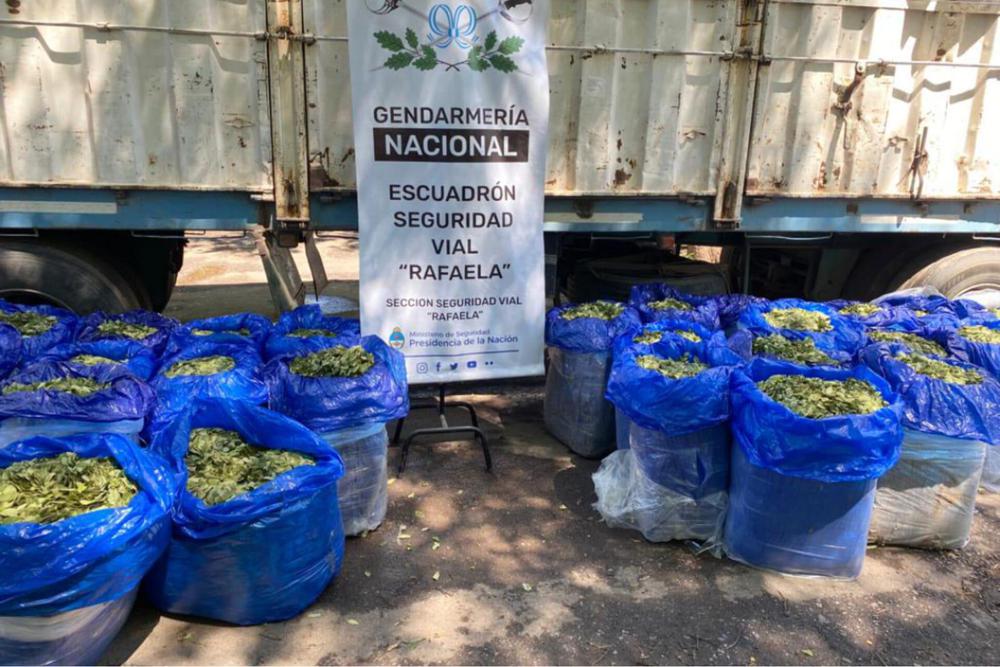 secuestro hojas de coca
