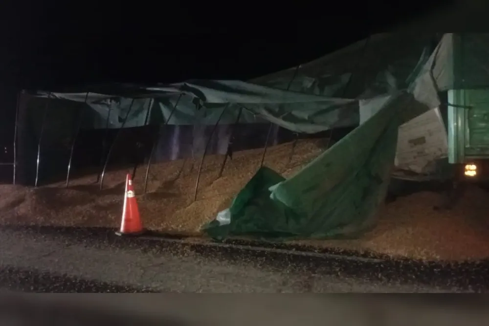 WhatsApp Image 2026-02-06 at 10.53.32