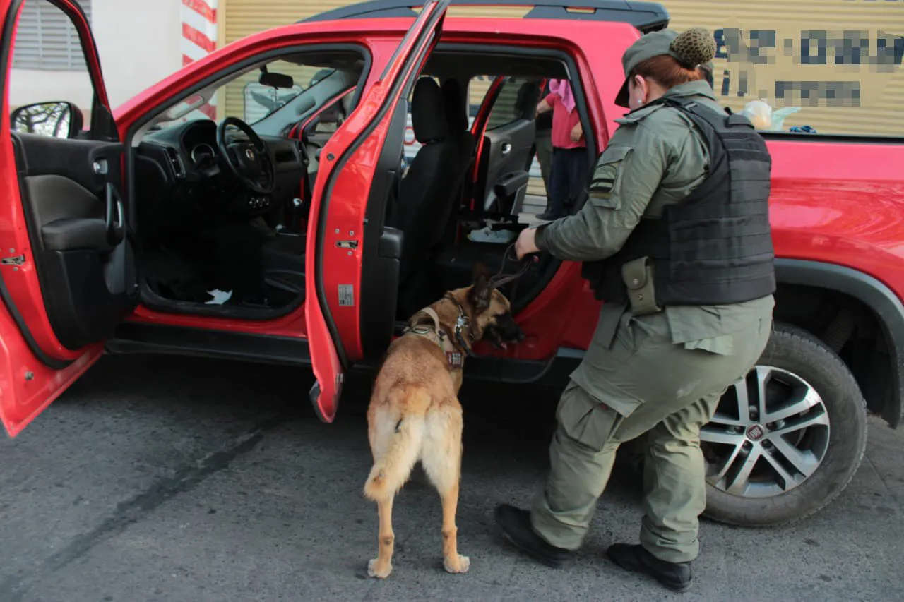 WhatsApp Image 2024-10-08 at 12.06.38