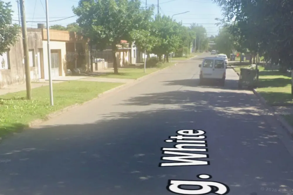 WhatsApp Image 2026-02-14 at 11.10.27